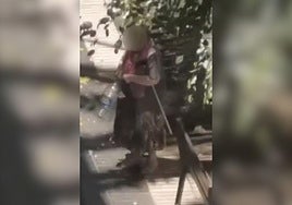 Imagen de la señora alimentando a las palomas.