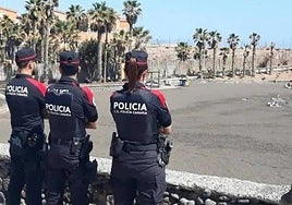 Tres agentes de la Policía Canaria en una imagen de archivo.