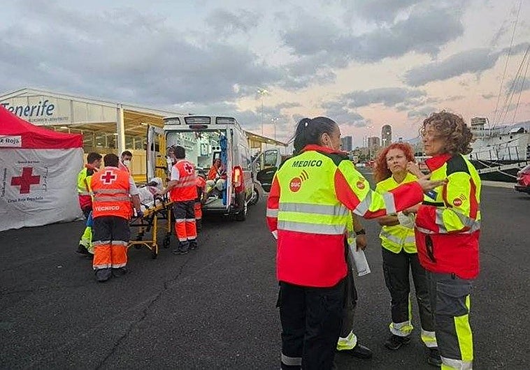 Dispositivo sanitario desplegado en el puerto de Santa Cruz de Tenerife para asistir a los migrantes rescatados por el crucero 'Insignia'.