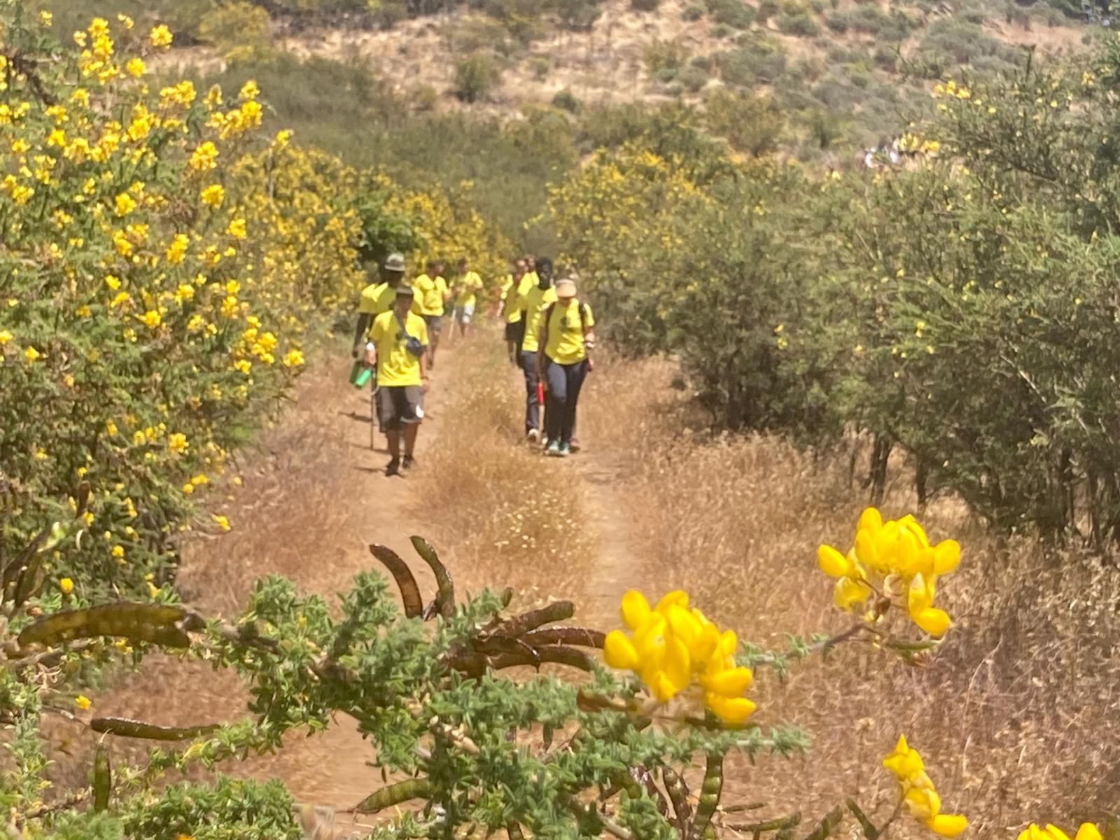 Un centenar de jóvenes caminan por la discapacidad en la octava edición del Camino de Los Valores