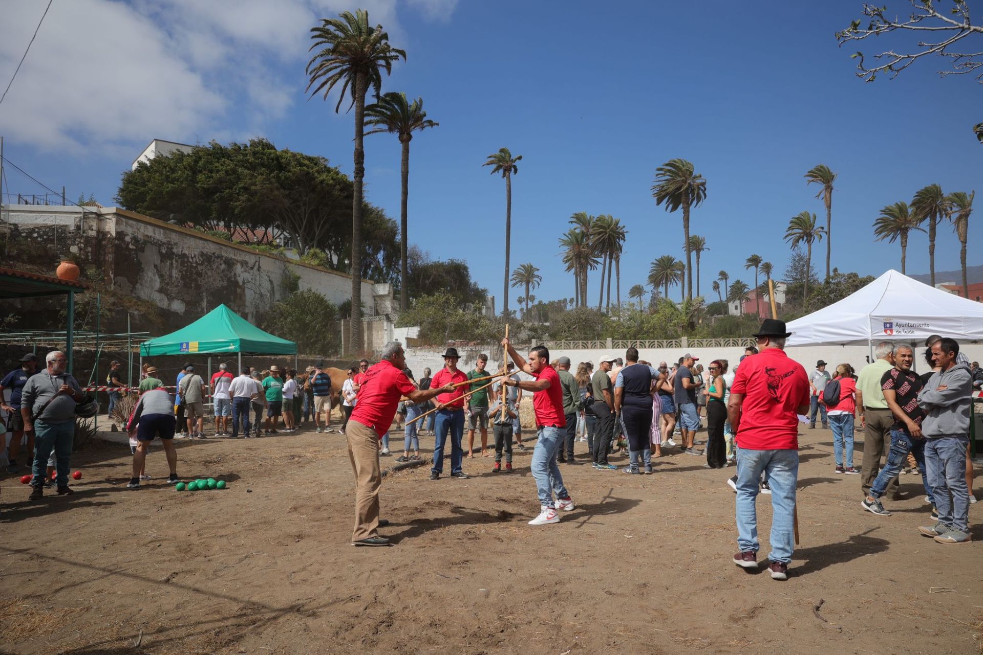 La feria de ganado de Telde, en imágenes