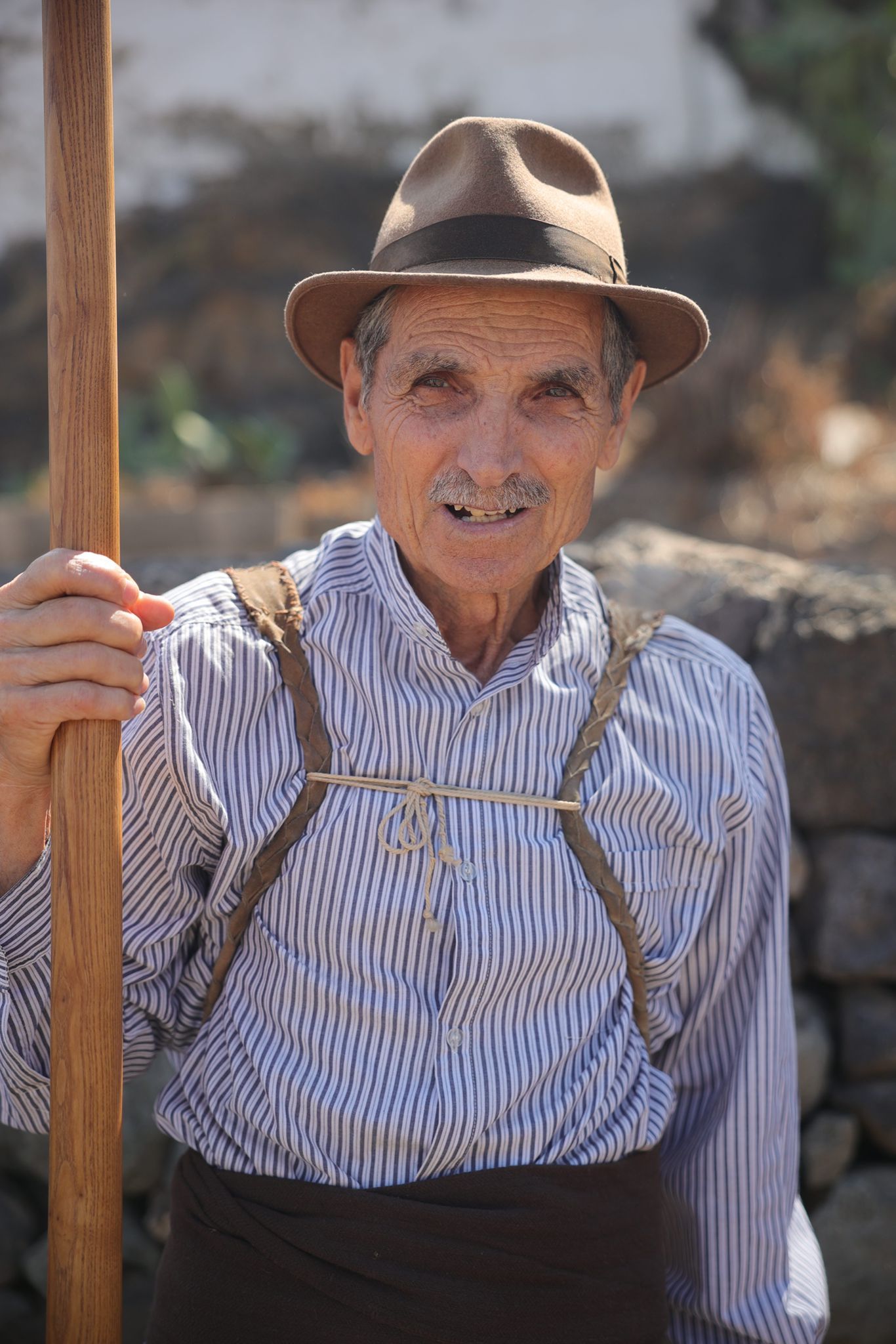 La feria de ganado de Telde, en imágenes
