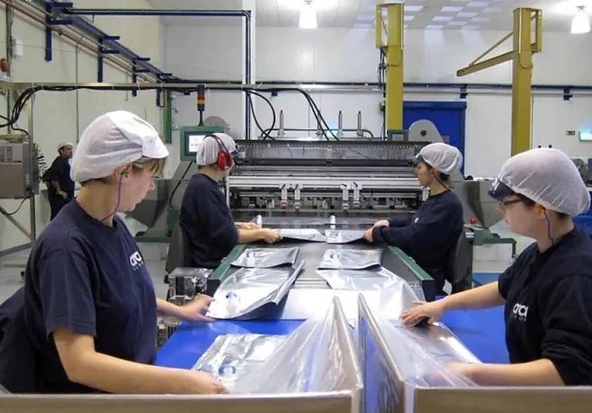 Trabajadoras en una fábrica canaria.