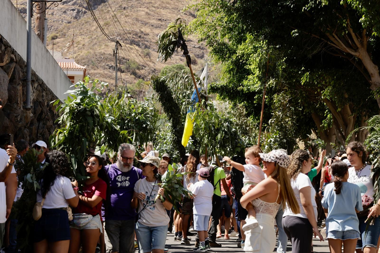 El Valle de Agaete vibra con la Rama de San Pedro, en imágenes
