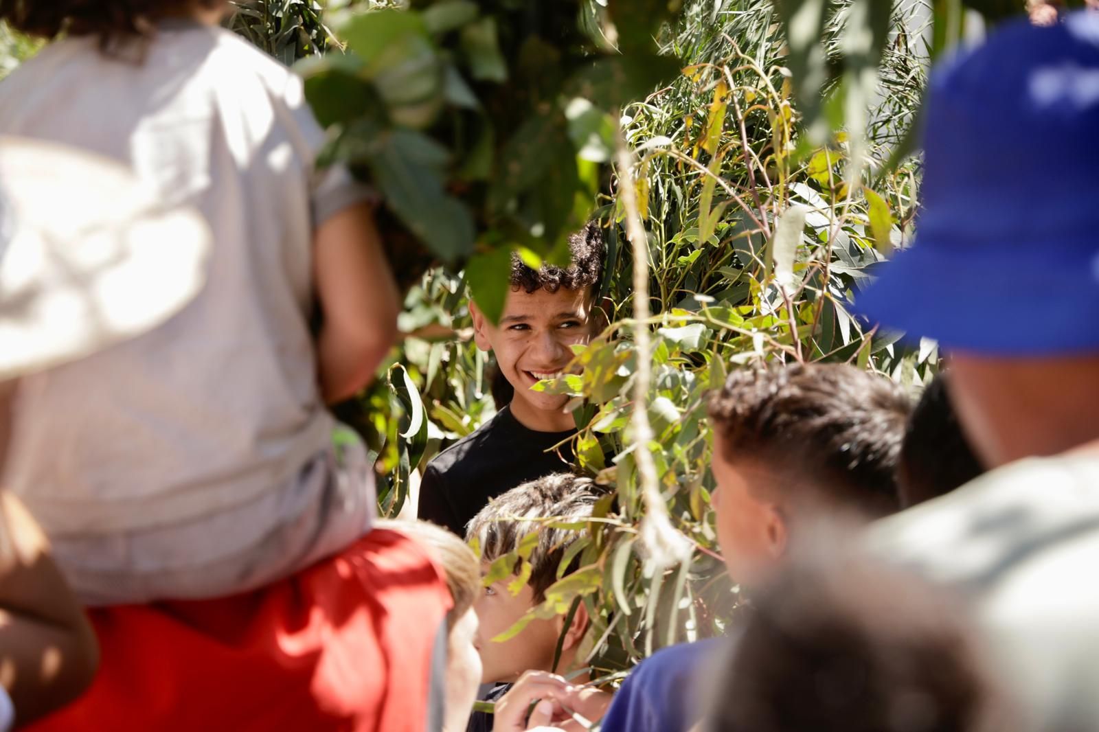 El Valle de Agaete vibra con la Rama de San Pedro, en imágenes