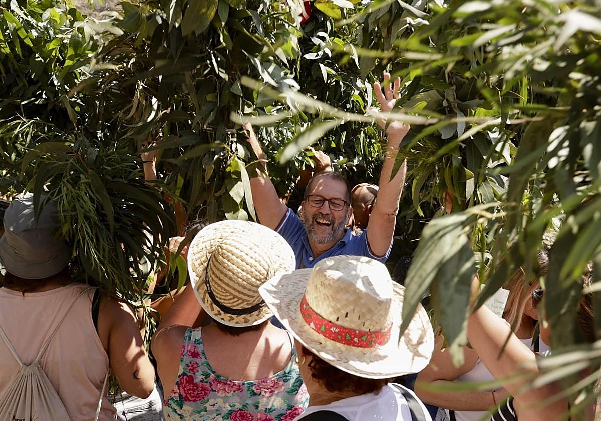 Imagen principal - En la foto superior, un romero en mitad de un bosque de ramas. Debajo, la banda Guiniguada, en la Era del Molino, a donde fue a esperar a los romeros, Y al lado, una joven hace sonar un bucio.