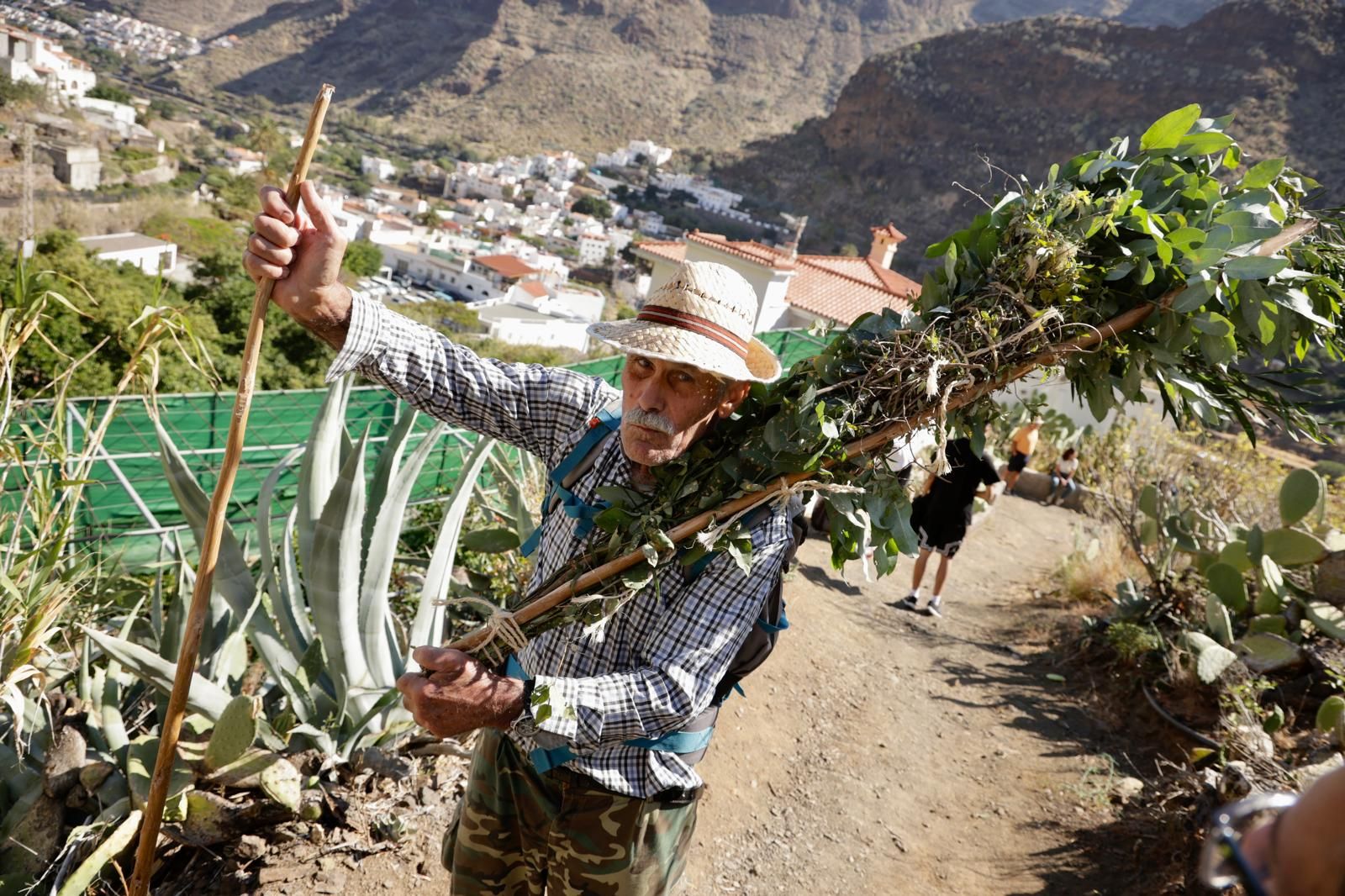 El Valle de Agaete vibra con la Rama de San Pedro, en imágenes