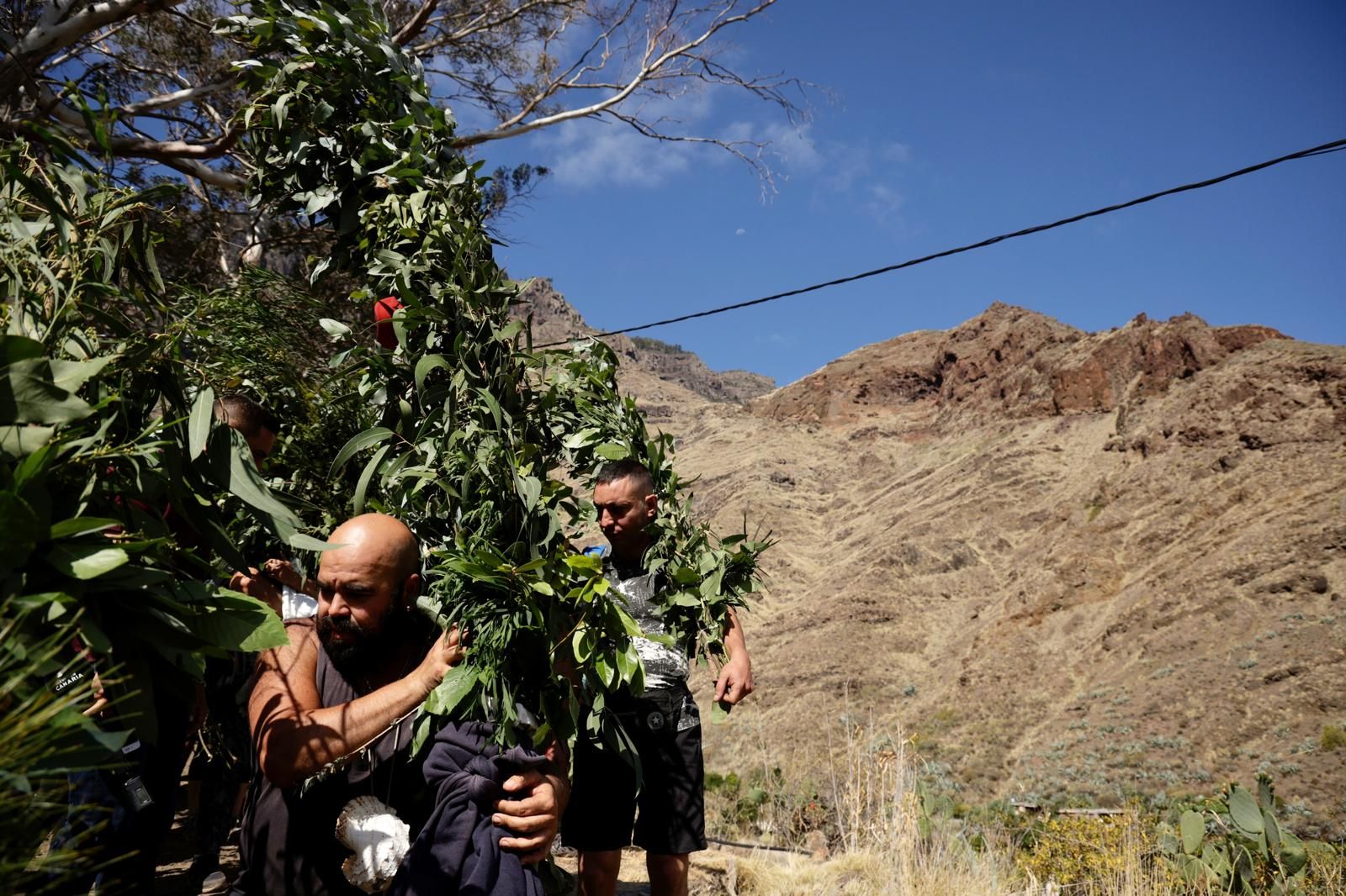 El Valle de Agaete vibra con la Rama de San Pedro, en imágenes