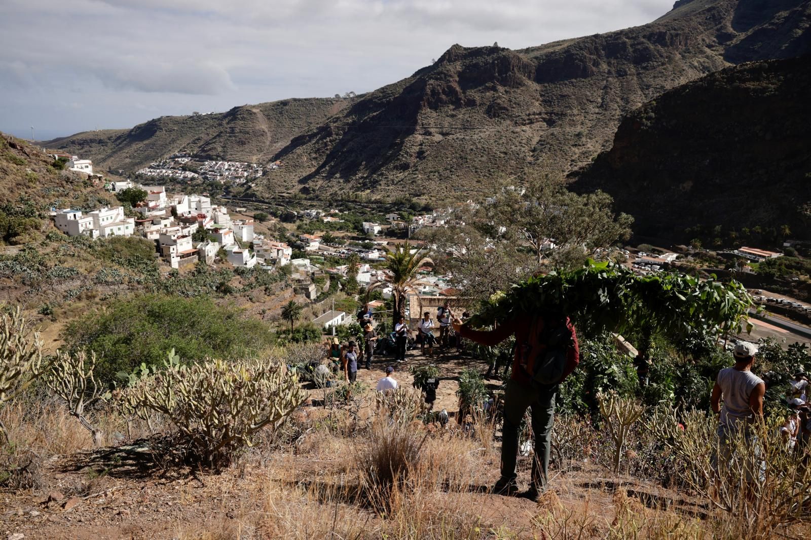 El Valle de Agaete vibra con la Rama de San Pedro, en imágenes