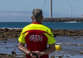 Dispositivo de búsqueda, estos días, en Arinaga.