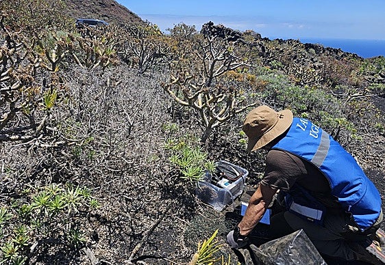 Investigador en el volcán de La Palma.
