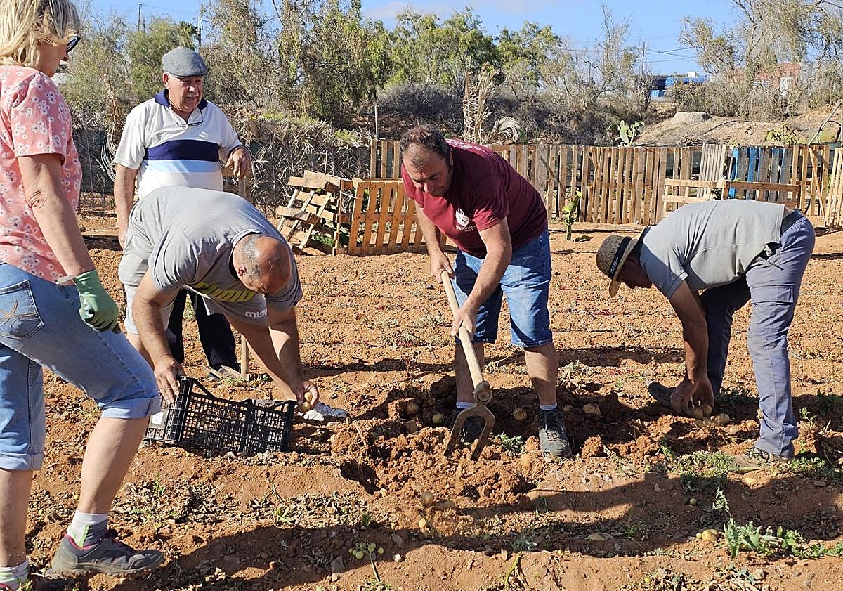 Imagen principal - Una caja de papas por alumno en vez de diplomas