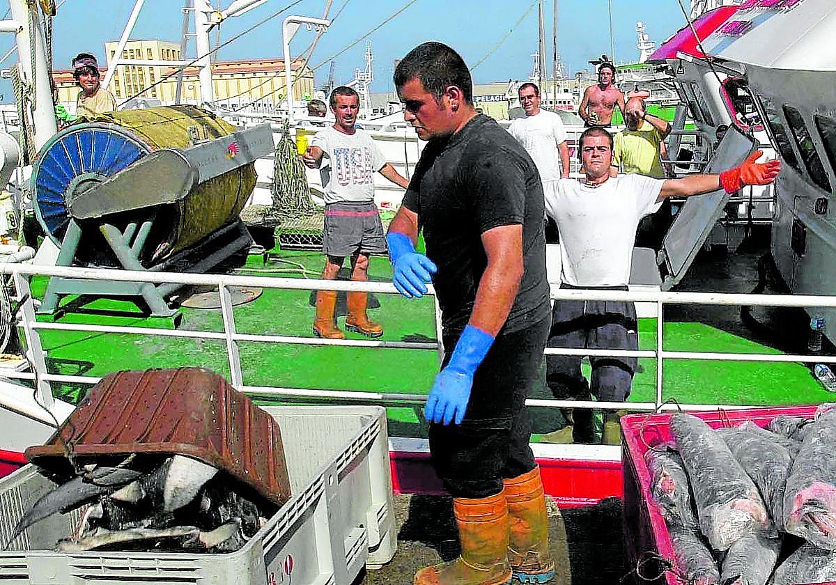 Sin contradicción en la Economía Azul