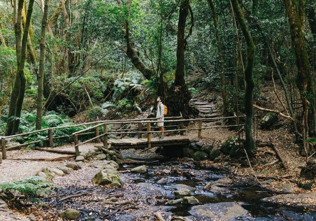 Senderista en el Parque Nacional de Garajonay.