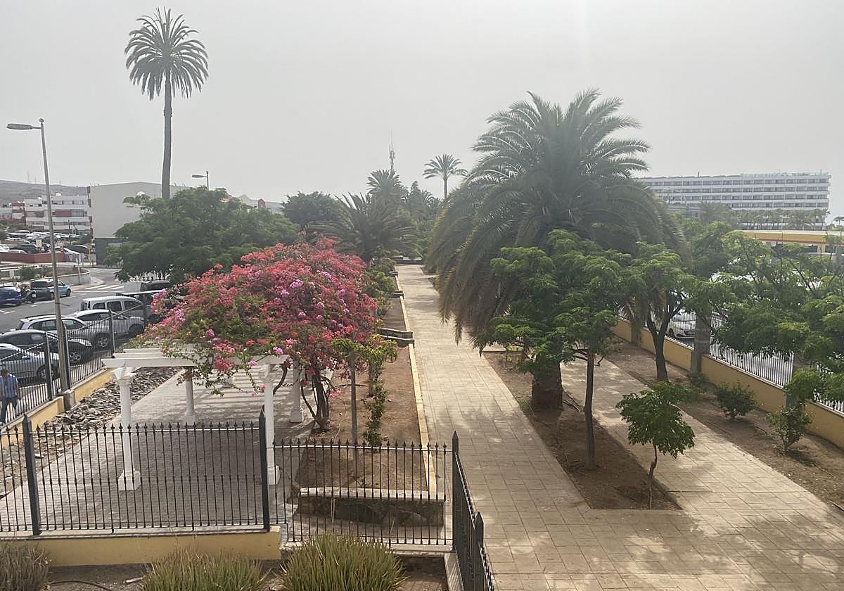 Vista del parque bajo el que se proyecta el parking subterráneo.