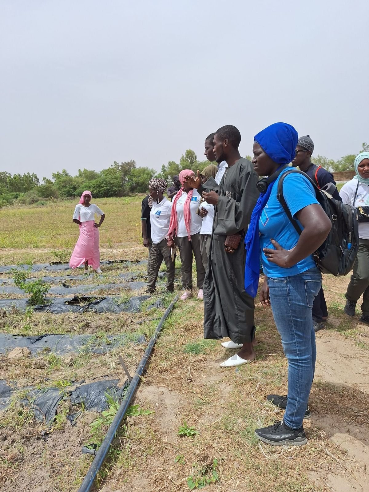 El proyecto Tierra Firme forma a 31 senegaleses