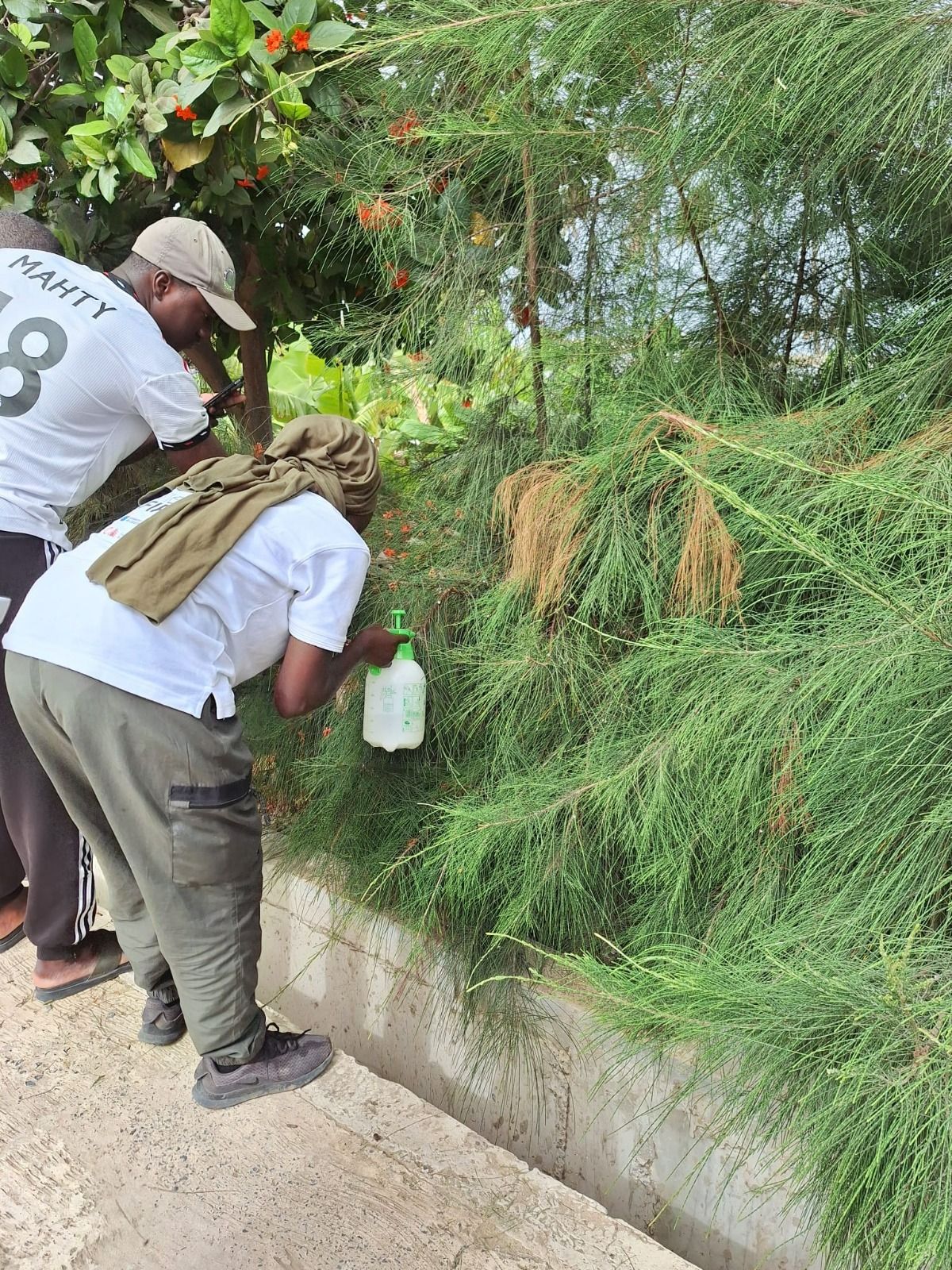 El proyecto Tierra Firme forma a 31 senegaleses