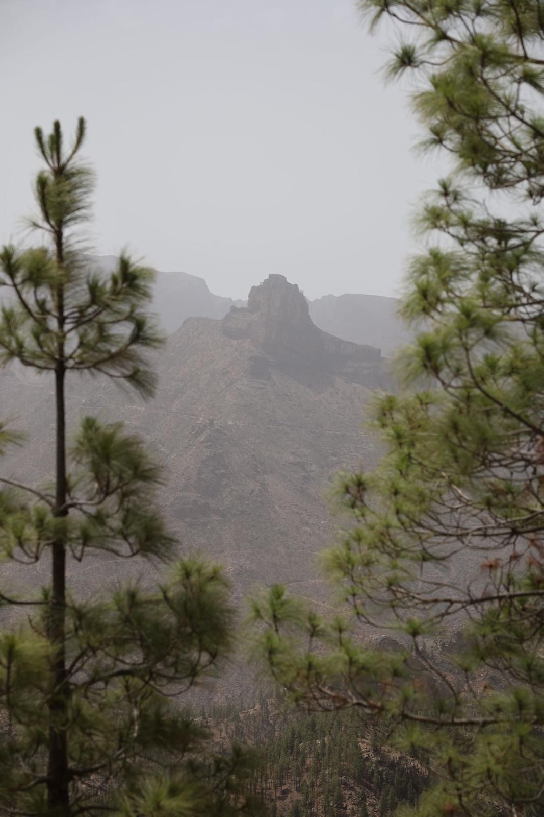 Calor y calima en Gran Canaria