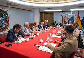 Imagen de la reunión de los miembros del Pacto canario por la migración con el Gobierno.