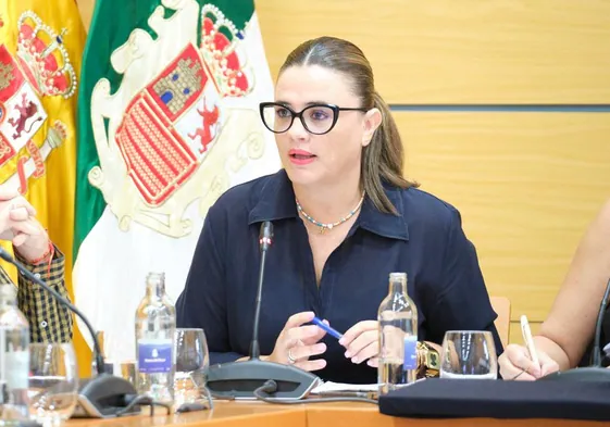 Nuria Cabrera, consejera insular de Fomento del Empleo, en el pleno ordinario de este viernes.