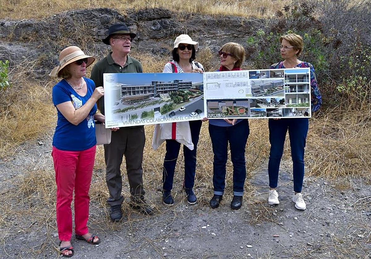 Miembros de la cooperativa El Ciempiés, en el solar de Arucas.