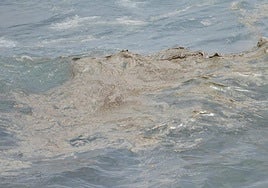 El vertido en el Puerto de Las Palmas llega a las costas de Telde