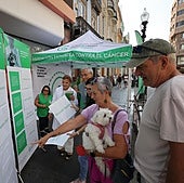 «En Canarias no hemos mejorado aún en el cribado de cáncer de colon»