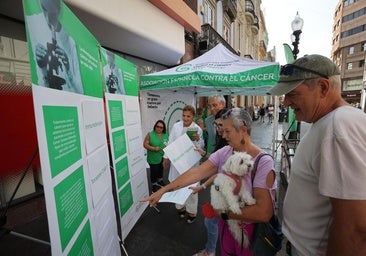 «En Canarias no hemos mejorado aún en el cribado de cáncer de colon»