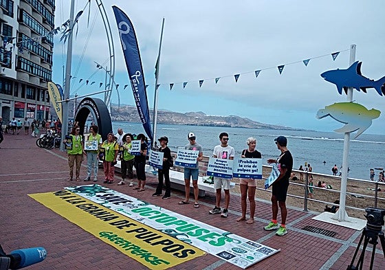 La protesta también tuvo lugar en la avenida de Las Canteras, en Las Palmas de Gran Canaria, además de ante el Congreso de los Diputados.