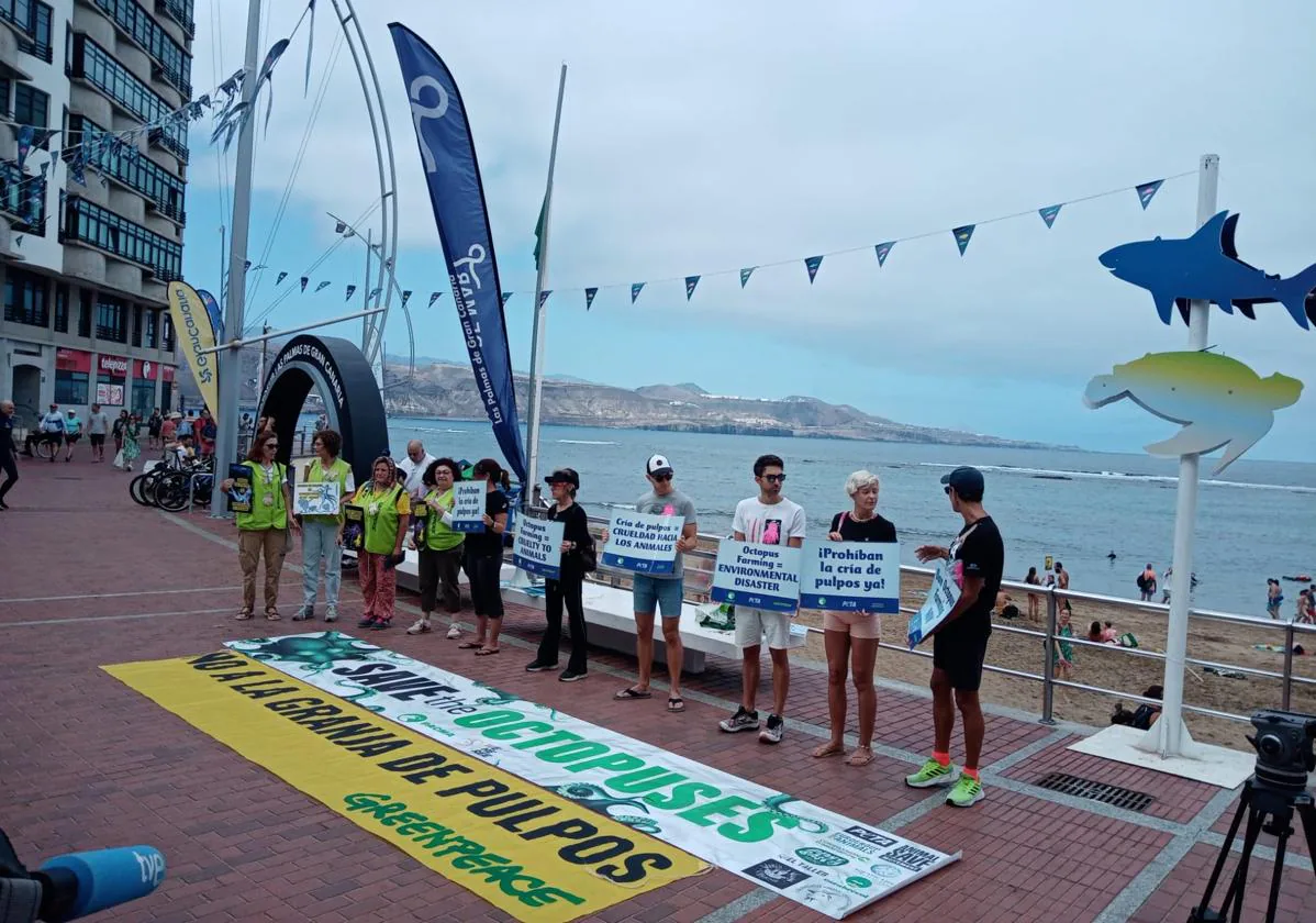 La protesta también tuvo lugar en la avenida de Las Canteras, en Las Palmas de Gran Canaria, además de ante el Congreso de los Diputados.