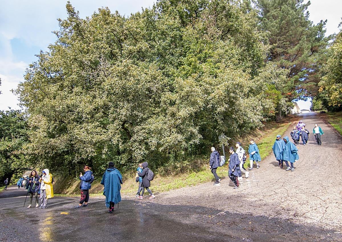 Imagen secundaria 1 - Arranca el &#039;Camino de los Valores 2024, Caminando por la Discapacidad&#039;