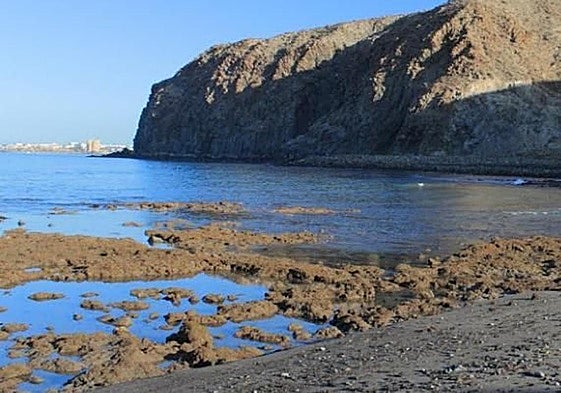 Imagen de la playa de La Arenita, en Arona.
