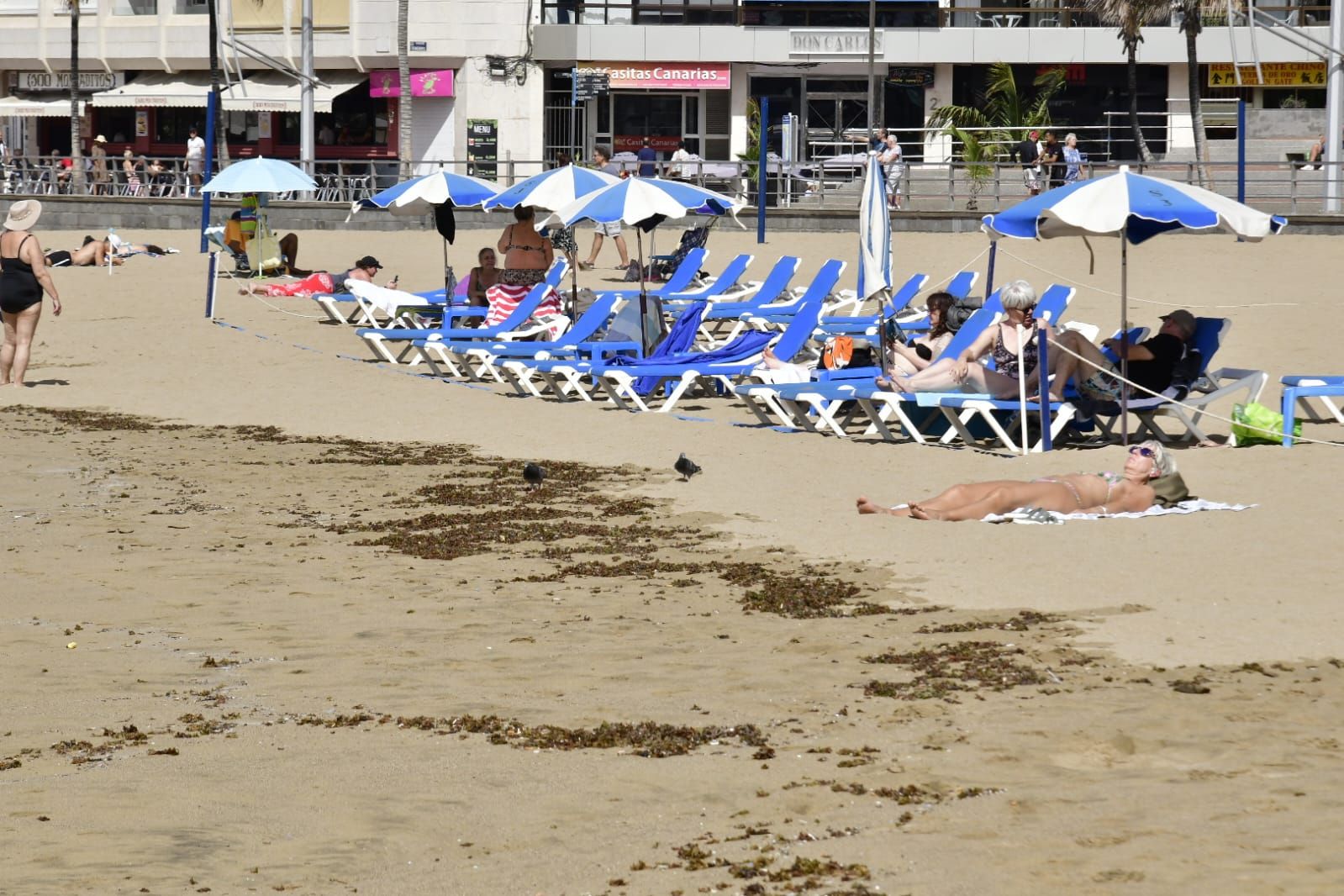 La pleamar que bate con fuerza en San Cristóbal y Las Canteras, en imágenes