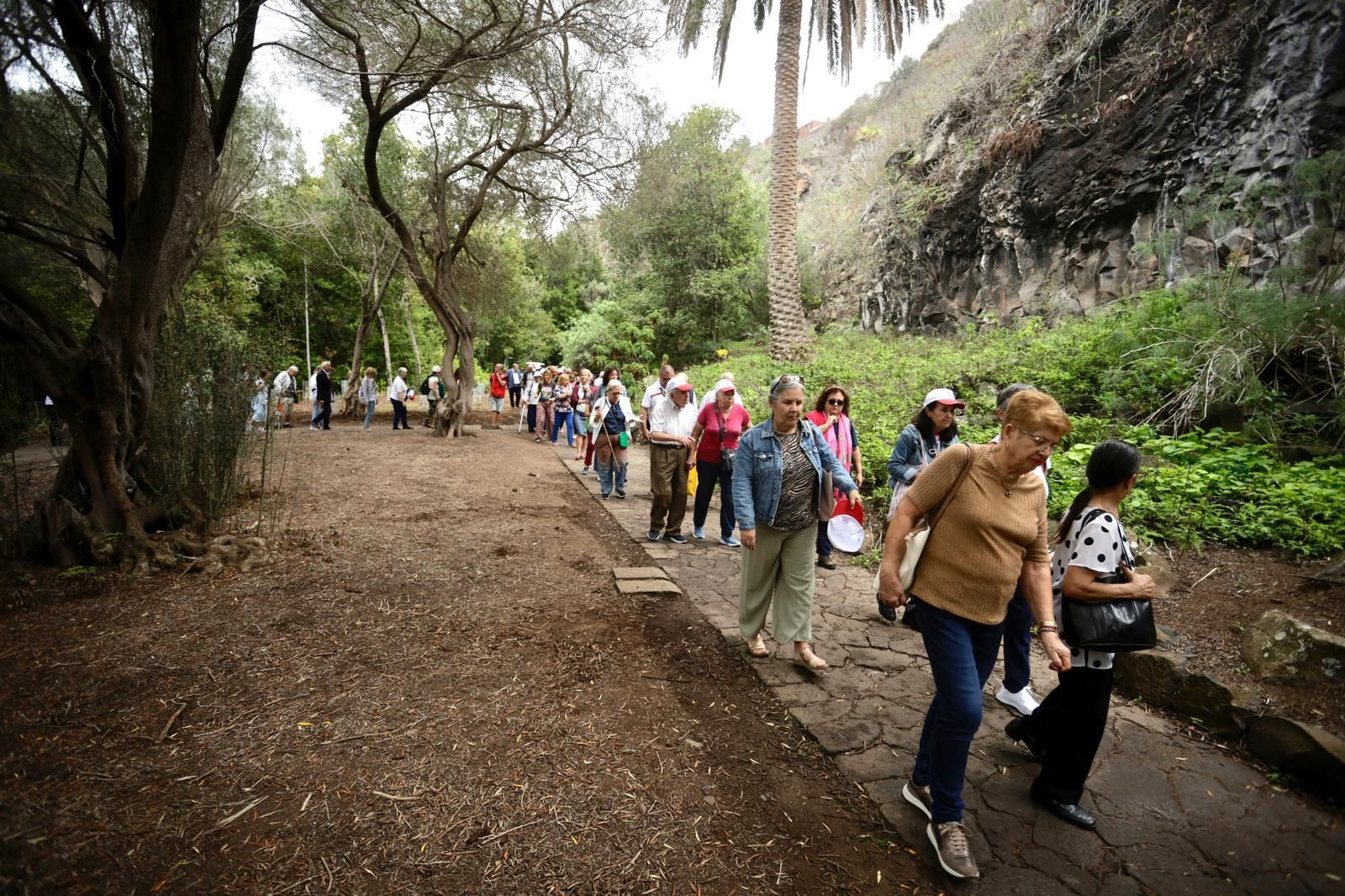 La plantación de Cruz Roja en el Jardín Canario, en imágenes