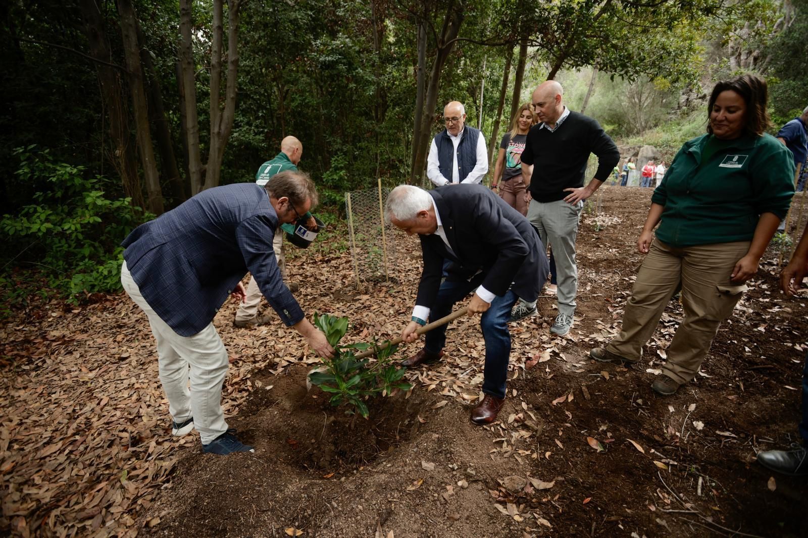 La plantación de Cruz Roja en el Jardín Canario, en imágenes