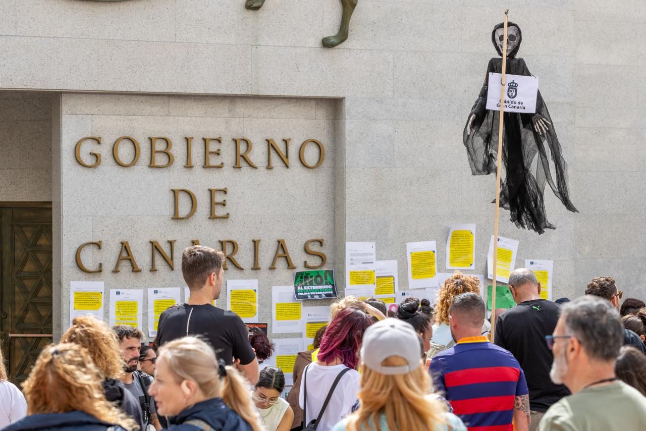En imágenes, la manifestación para proteger a los gatos