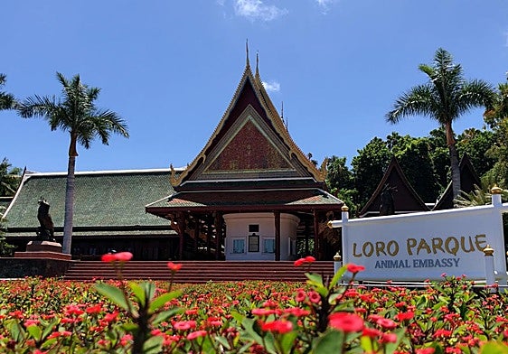 Loro Parque y Loro Parque Fundación donan 100.000 euros para ayudar a los damnificados de la Dana