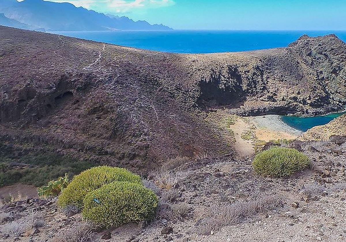 Rescatan a un hombre tras caer por el barranco del Juncal | Canarias7