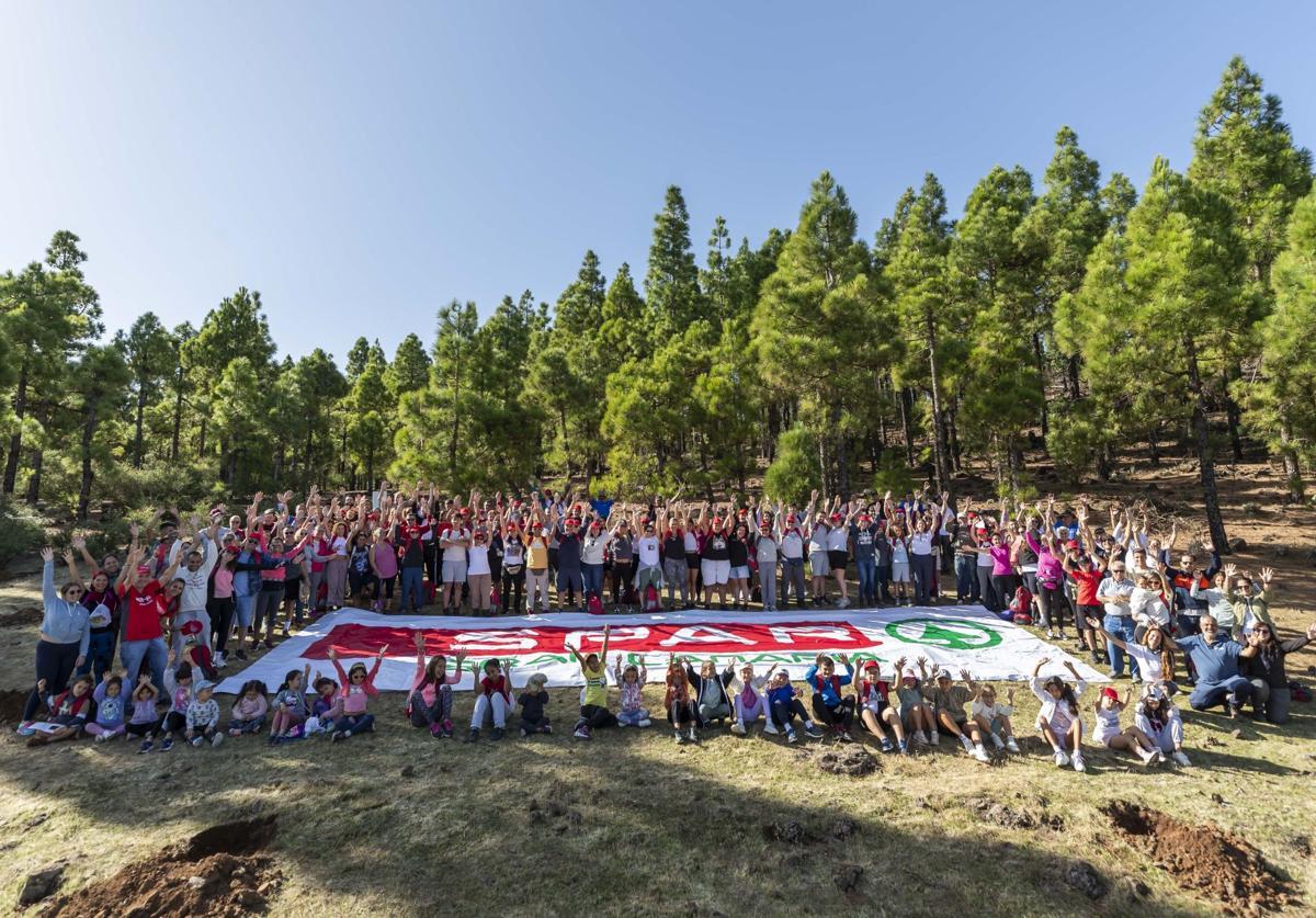 La familia SPAR reforesta la cumbre de Gran Canaria plantando 200 nuevos pinos canarios y cedros