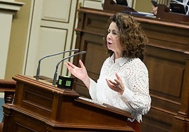 La consejera de Hacienda en el Parlamento autonómico, Matilde Asián.
