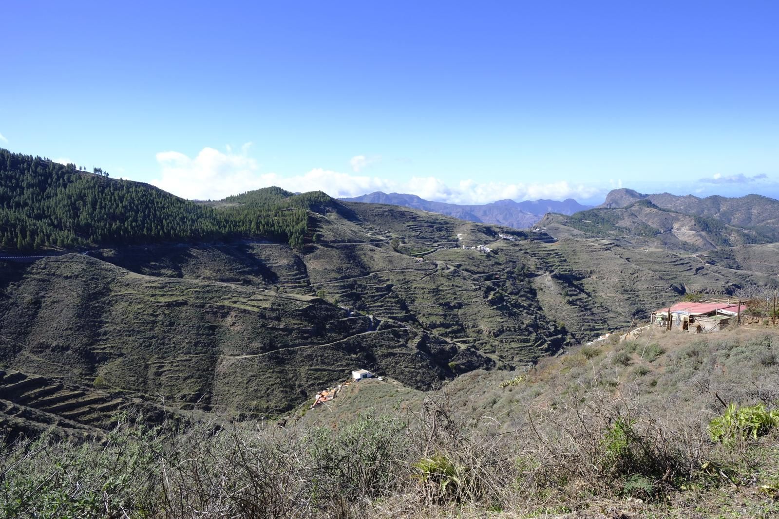 Gran Canaria amanece verde y sin lluvia
