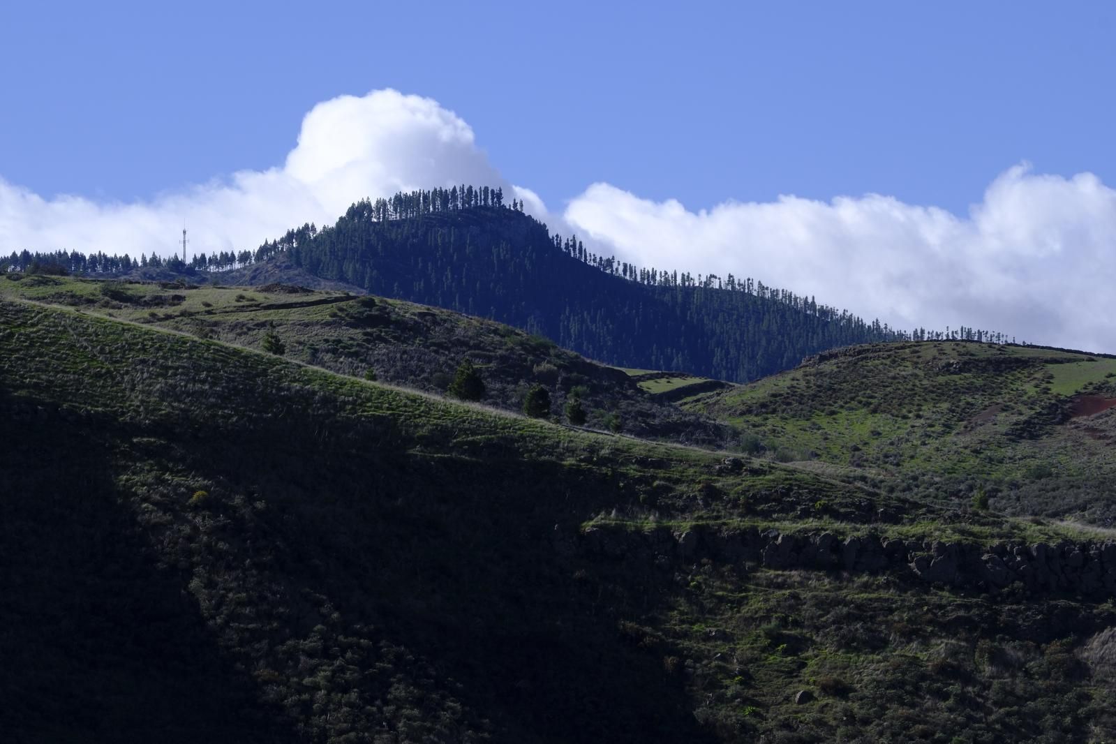 Gran Canaria amanece verde y sin lluvia