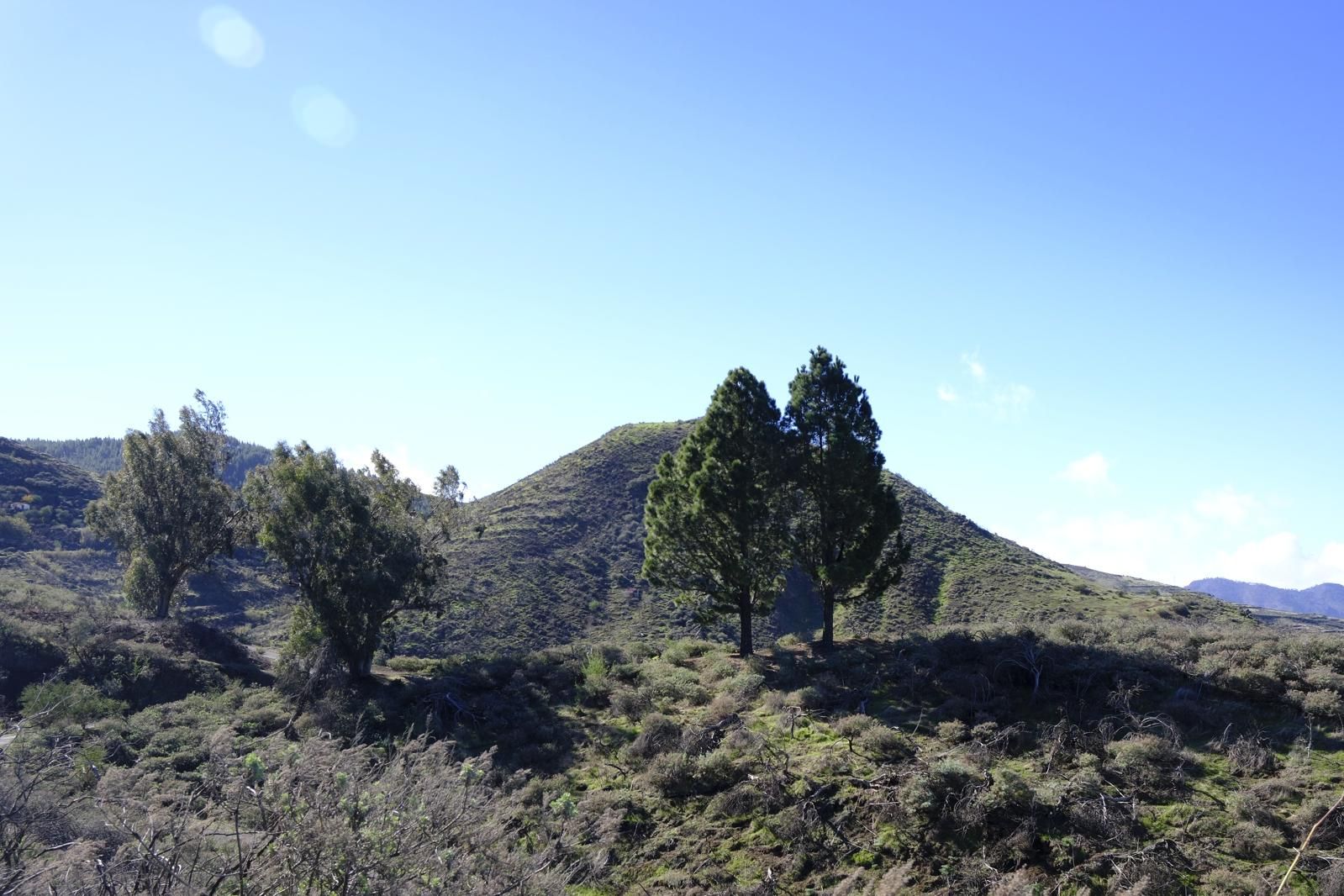 Gran Canaria amanece verde y sin lluvia