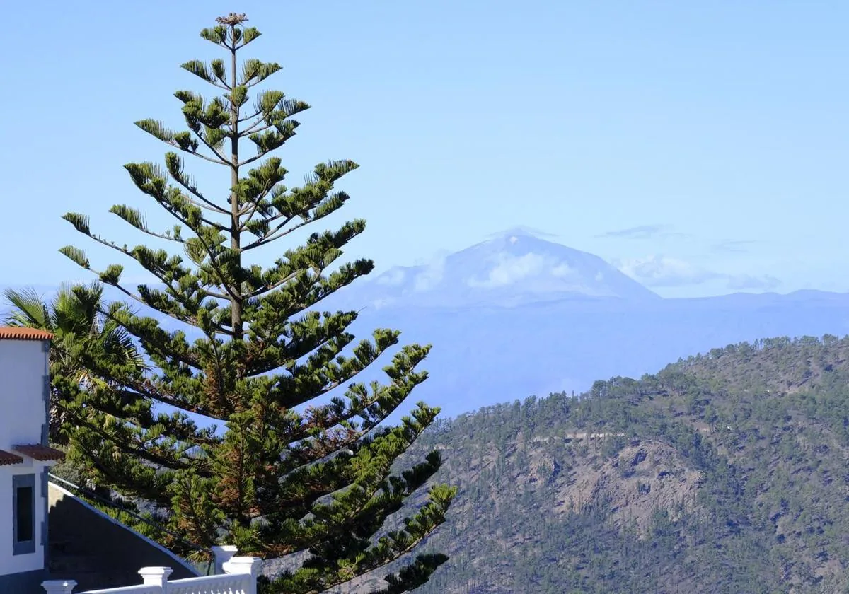 La Aemet activa el aviso amarillo en Canarias por lluvias