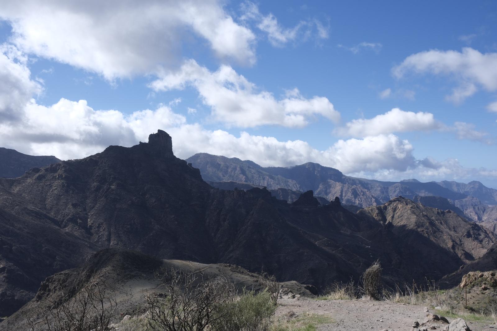 Gran Canaria amanece verde y sin lluvia