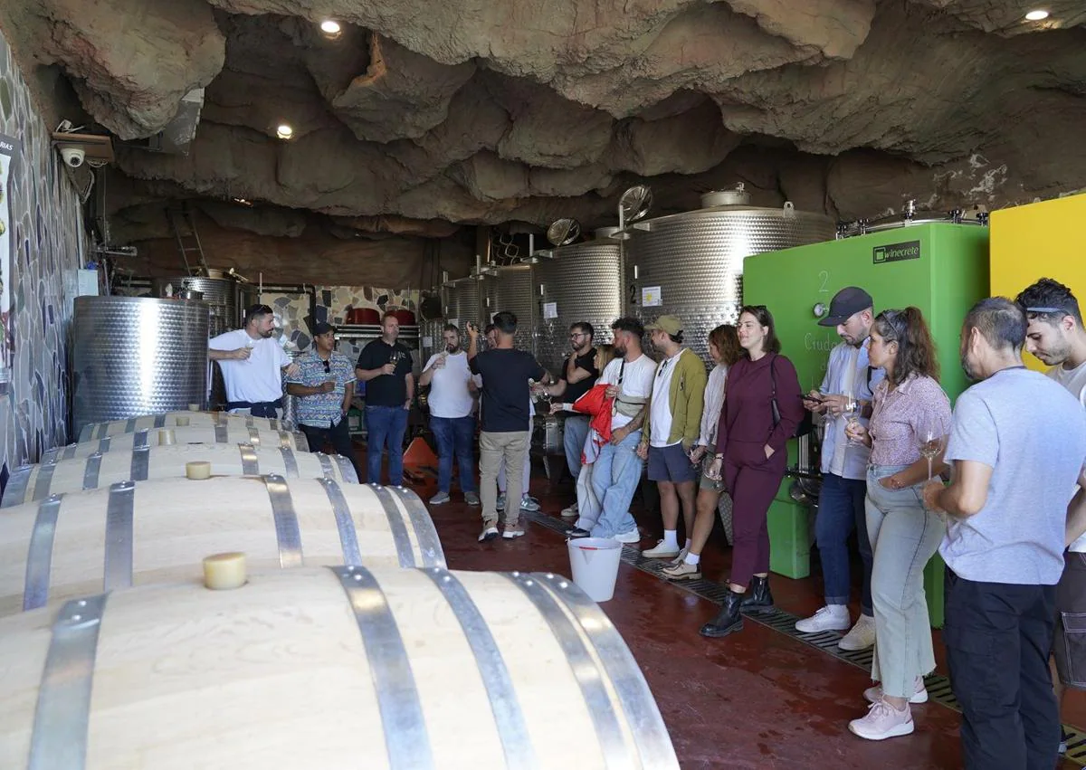 Imagen secundaria 1 - Chefs y sumilleres, a la caza de tomates, quesos y vinos de Gran Canaria