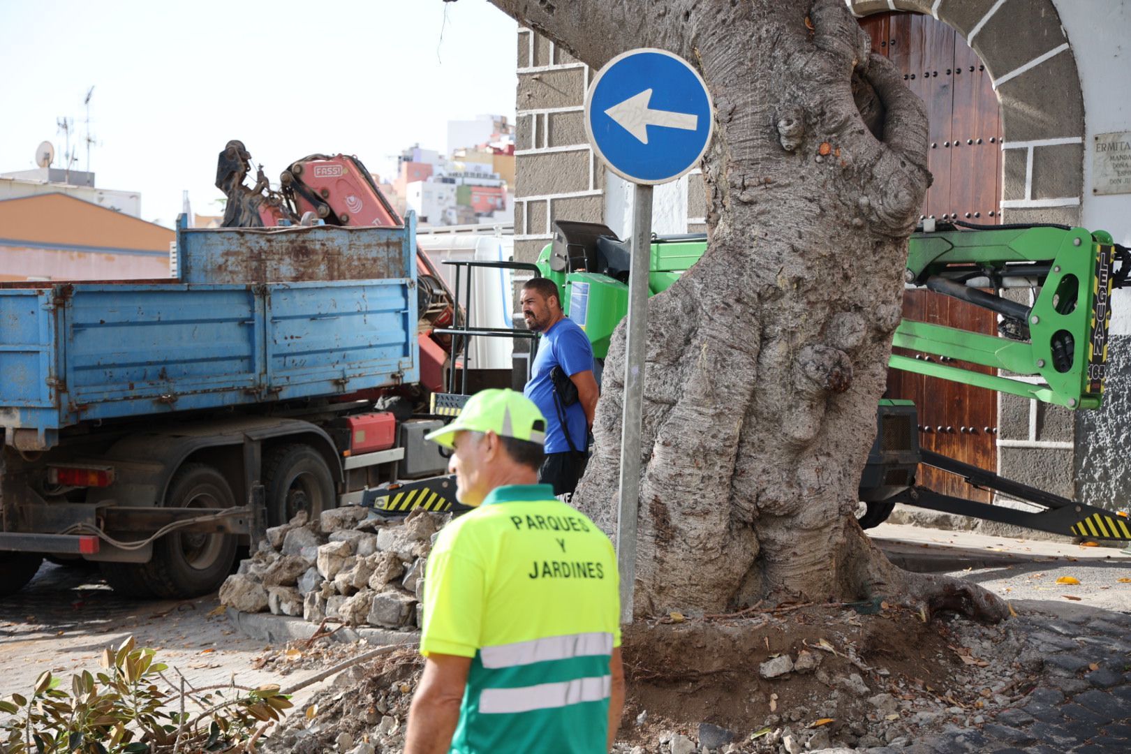 Los vecinos evitan la tala del árbol de la ermita de San Nicolás