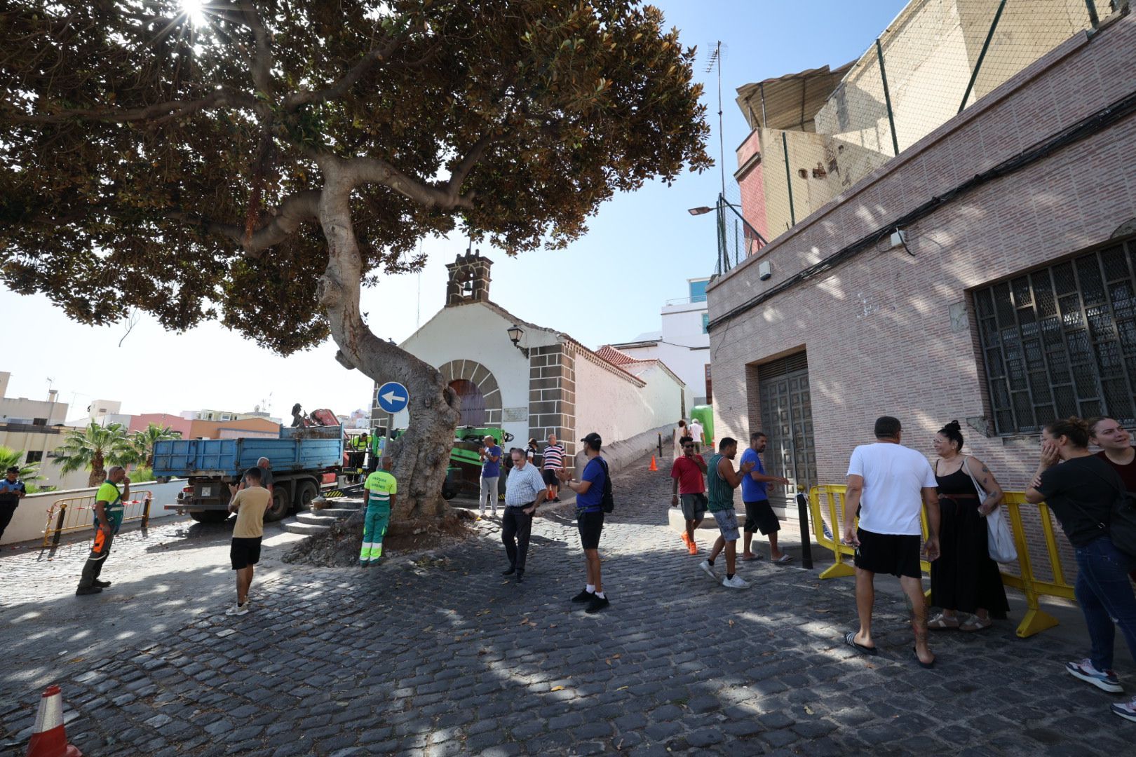 Los vecinos evitan la tala del árbol de la ermita de San Nicolás
