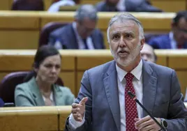 El ministro Ángel Víctor Torres, en una comparecencia en el Congreso.