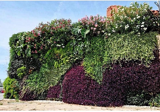 Ejemplo de un jardín vertical de los que se instalarán en los once municipios de la Mancomunidad.